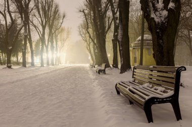 LVIV, UKRAINE - 07 Şubat 2021: Kış ve Karlı Stryisky Parkı