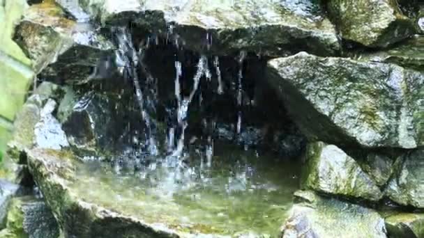 Wasser Fließt Aus Einem Felsen Aus Nächster Nähe — Stockvideo