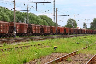 LVIV, UKRAINE - 27 Haziran 2020: Yazın eski yük vagonları