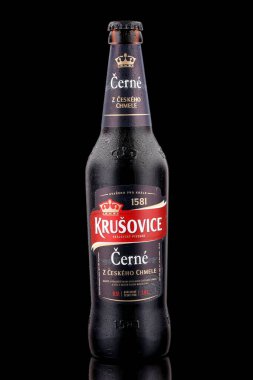 LVIV, UKRAINE - 17 Mayıs 2020: Krusovice siyah czech birası şişede
