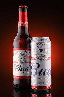 LVIV, UKRAINE - 10 Nisan 2020: Farklı kaplarda bira kırmızı zemin