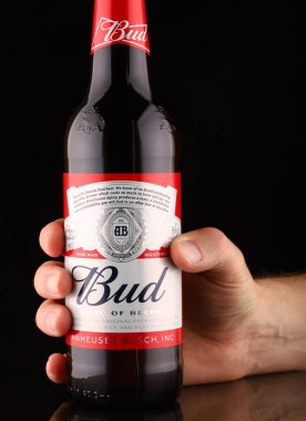 LVIV, UKRAINE - 10 Nisan 2020: Bud bira şişesi elinde koyu arka plan