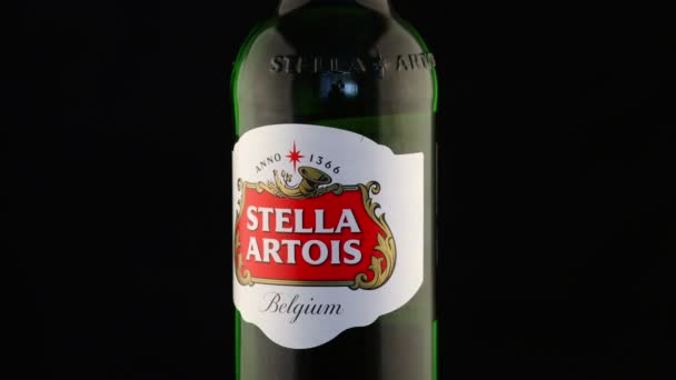 Lviv Ukraine Απριλίου 2020 Stella Artois Μπουκάλι Μπύρας Μαύρο Φόντο — Αρχείο Βίντεο