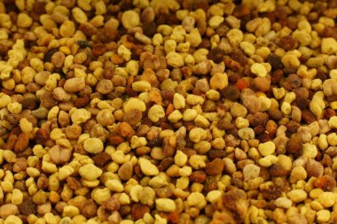 Arı poleni ürün arıcılığı yakın plan.