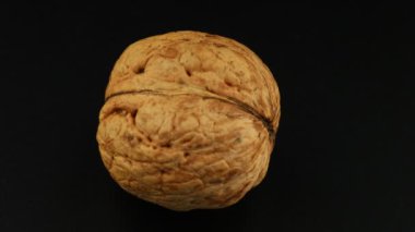 Ceviz kıvrımları koyu arkaplanı kapatır