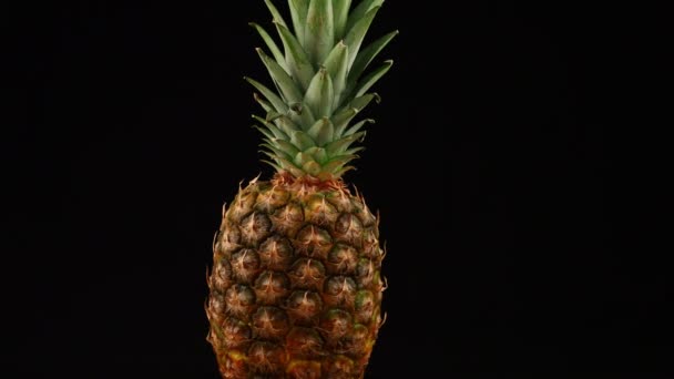 Ananas Ovoce Točí Černém Pozadí — Stock video