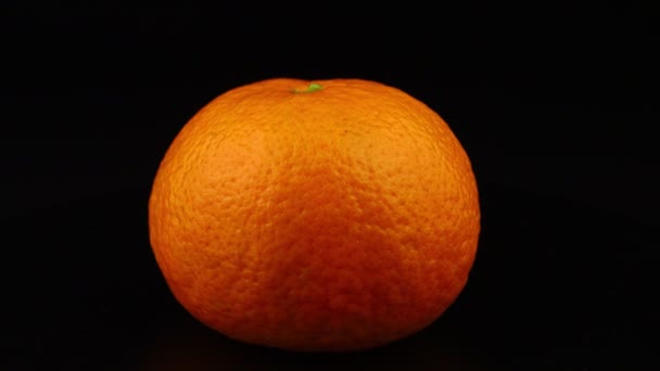 Mandarine Orange Frucht Dreht Sich Auf Schwarzem Hintergrund — Stockvideo