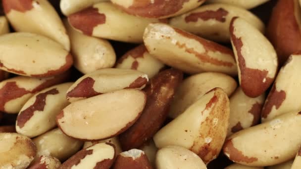 Brazil Nut Source Selenium Healthy Diet — Stock Video