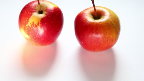 Ποικιλία Από Κόκκινα Μήλα Λευκό Φόντο Lisa — Αρχείο Βίντεο