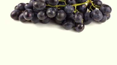 Beyaz zemin üzerinde Moldova siyah üzümleri