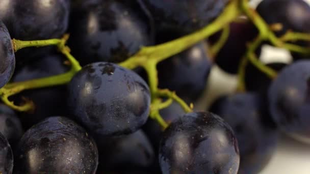 Moldova Black Grapes White Background — Stock Video