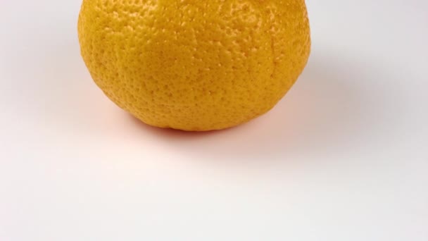 Fruta Naranja Mandarina Sobre Fondo Blanco — Vídeo de stock