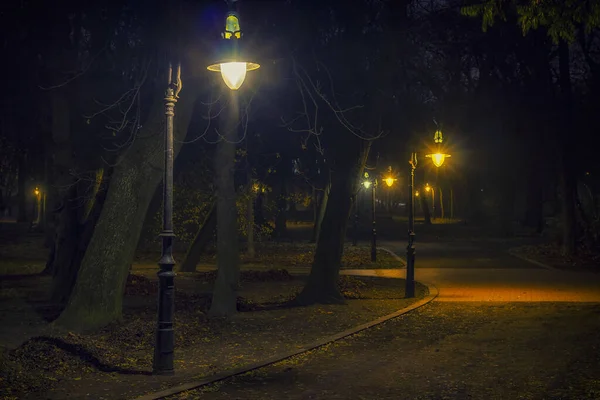 Hermoso Parque Ciudad Noche —  Fotos de Stock