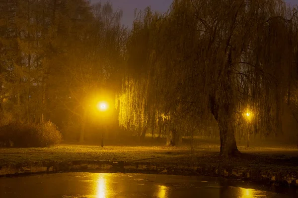 Hermoso Parque Ciudad Noche — Foto de Stock