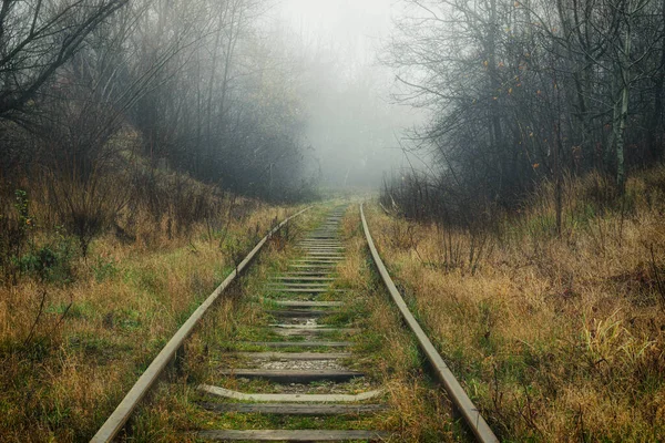 Railroad Track Fog — Stock Photo, Image