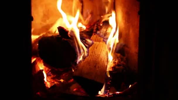 Feuer Brennt Und Verbrennt Brennholz — Stockvideo