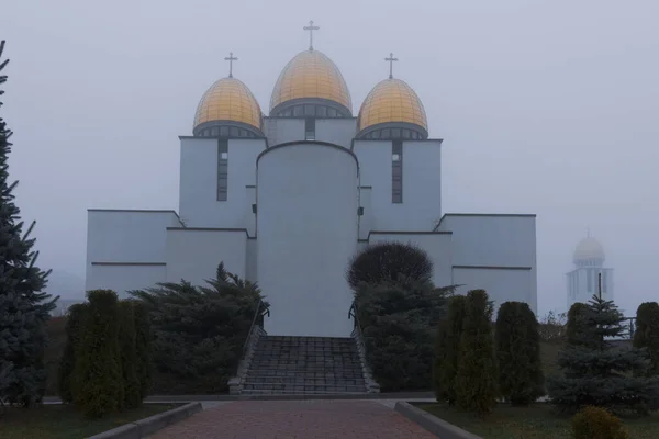 Lviv Ukrajina Listopadu 2019 Kostel Sykhivu — Stock fotografie