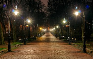 Gece parkı ve sokak lambaları