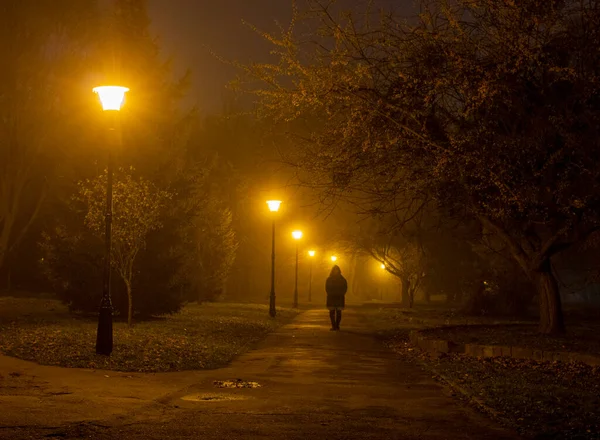 Gece sisli parkı ve yoldan geçen adamı