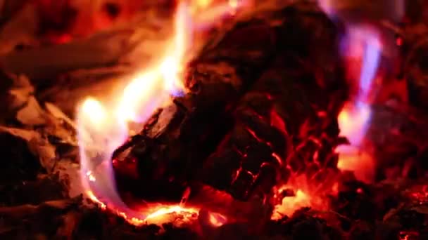 Smukke Ild Flammer Tæt – Stock-video