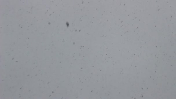 雪が降る冬の空 — ストック動画