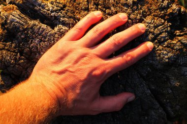 Duvardaki adam eli. Yakın plan.