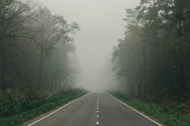 Ormandaki siste otoyol