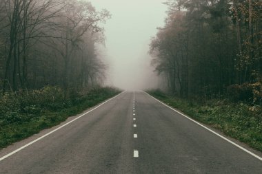 Ormandaki siste otoyol