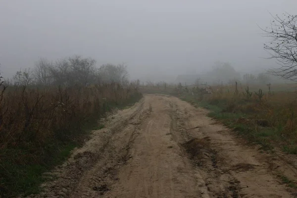Country Road Fog — Stock Photo, Image