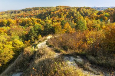 Lviv Znesinnia 'daki sonbahar parkı