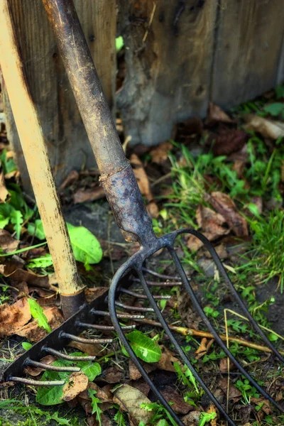 Jordbruksredskap Gafflar Och Krattor — Stockfoto