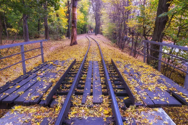 Railroad track in the autumn forest