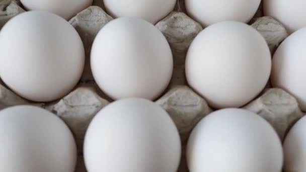 Білі Курячі Яйця Папері Лоток Крупним Планом — стокове відео