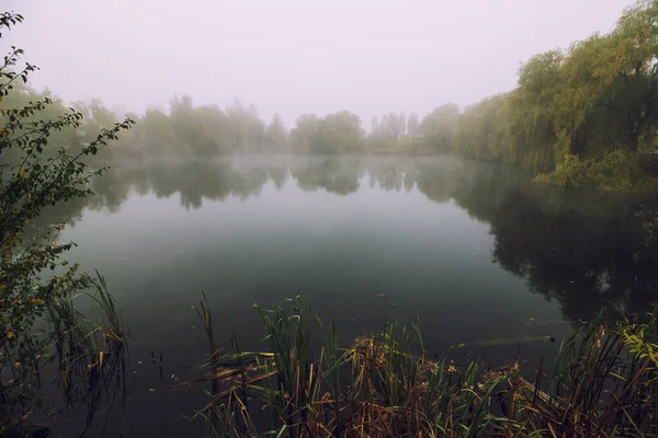 Hermoso Paisaje Del Lago Niebla — Foto de Stock