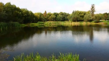 Yazın güneşli bir günde küçük bir göl