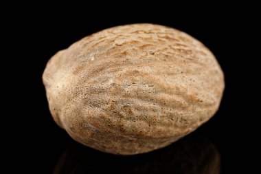 Hindistan cevizi baharatları siyah arka planda yakın plan