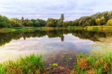 Göllü güzel yaz manzarası