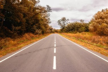 Sonbaharda iyi bir yol.