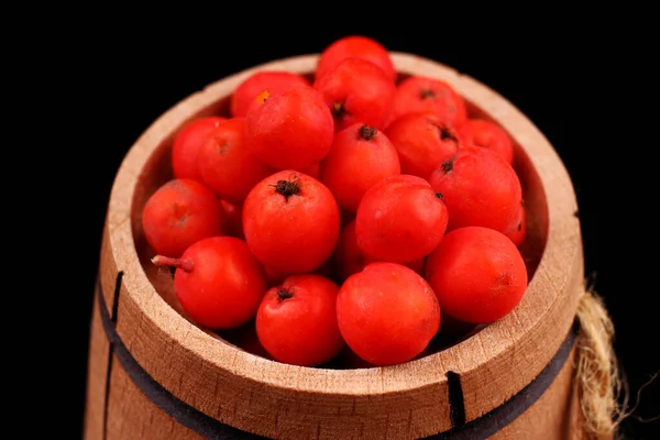 Stelletje Rode Rowan Een Houten Vat Isolaat — Stockfoto