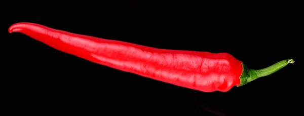 Red Hot Chili Pepper Black Background — Stock Photo, Image