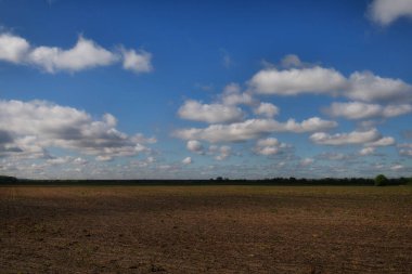 Not planted field in the spring. Beginning of agricultural work.