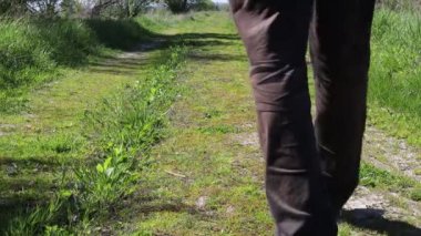 The man walks on the trail in the summer