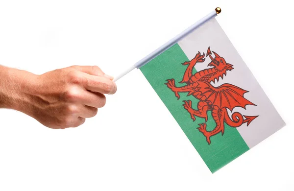 Σημαία Της Ουαλίας Μικρή Στο Χέρι — Φωτογραφία Αρχείου