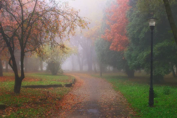 Güzel sonbahar manzarası. Sisli park.
