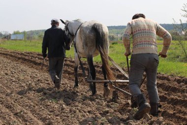 Kırsal kesimde sıkı çalışma. İnsanlar tarlayı sürüyor..