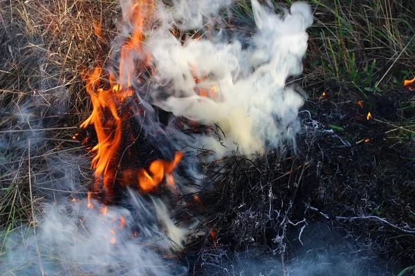 Pali Suchą Trawę Dym Ogień — Zdjęcie stockowe