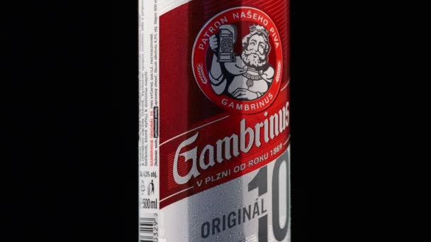 Lviv Ucrania Junio 2021 Gambrinus Original Beer — Vídeo de stock