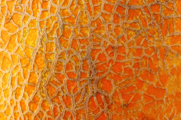 Texture Fond Peau Melon — Photo