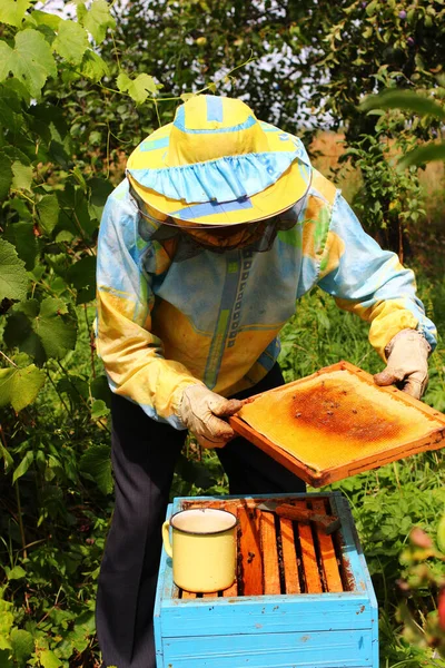 Apiculteur Nourrit Les Abeilles Avec Sirop Sucre — Photo