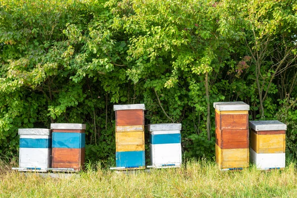 Bienenstöcke Mit Bienensommer — Stockfoto